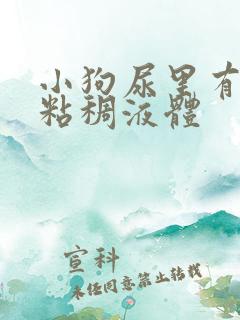 小狗尿里有白色粘稠液体