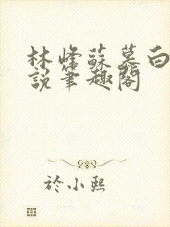 林峰苏慕白的小说笔趣阁