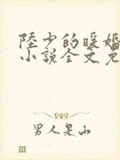 陆少的暖婚新妻小说全文免费阅读