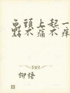 龟头上起一个红点不痛不痒