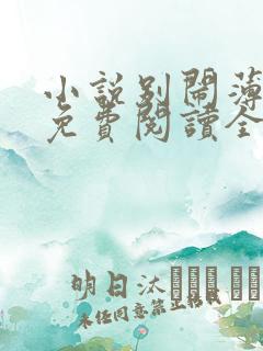 小说别闹薄先生免费阅读全文无窗口