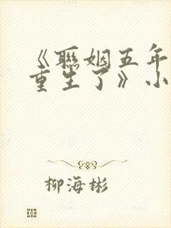 《联姻五年后她重生了》小说