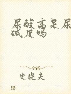 尿酸高是尿的酸碱度吗