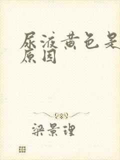 尿液黄色是什么原因