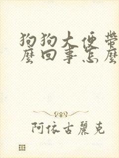 狗狗大便带血怎么回事怎么办