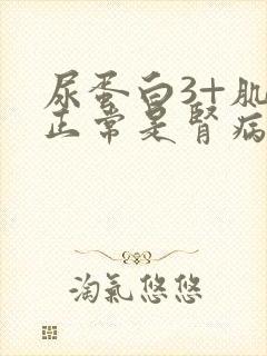 尿蛋白3+肌酐正常是肾病几期