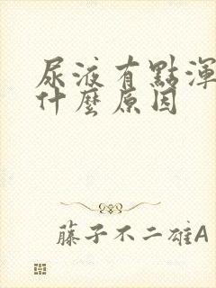 尿液有点浑浊是什么原因