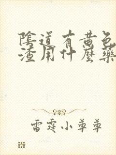 阴道有黄色豆腐渣用什么药