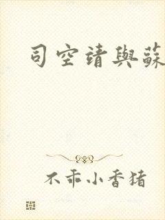 司空靖与苏月汐