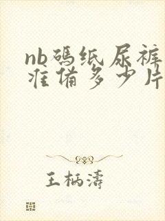 nb码纸尿裤要准备多少片