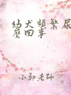 幼犬频繁尿是怎么回事