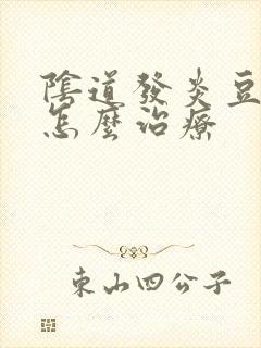 阴道发炎豆腐渣怎么治疗