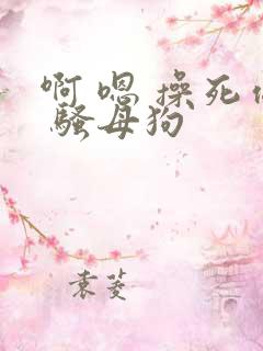 啊 嗯 操死你 骚母狗