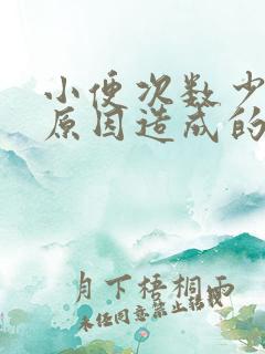 小便次数少什么原因造成的