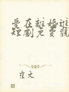 爱在离婚进行时短剧免费观看