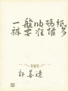 一般nb码纸尿裤要准备多少片呢