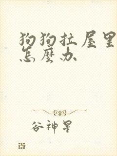 狗狗拉屋里屎尿怎么办