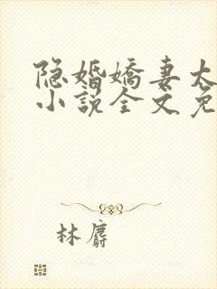 隐婚娇妻太迷人小说全文免费阅读