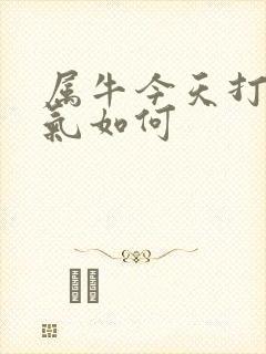 属牛今天打牌运气如何