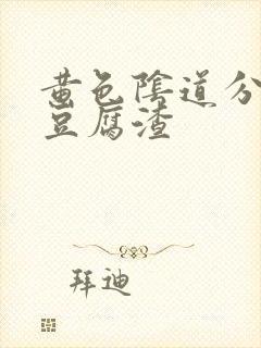 黄色阴道分泌物豆腐渣