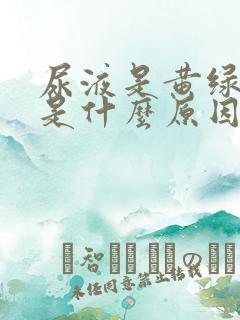 尿液是黄绿色的是什么原因引起的