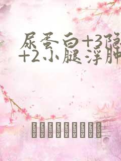 尿蛋白+3隐血+2小腿浮肿