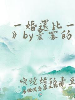 一婚还比一婚高》by晨雾的光