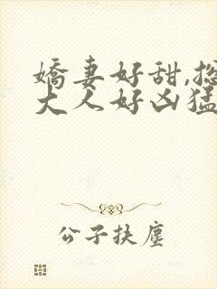 娇妻好甜,总裁大人好凶猛苏南风