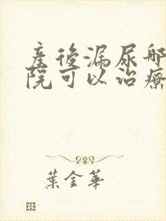 产后漏尿哪家医院可以治疗