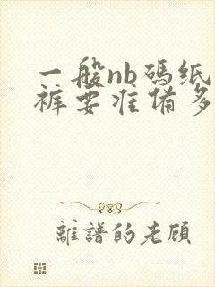 一般nb码纸尿裤要准备多少片呢