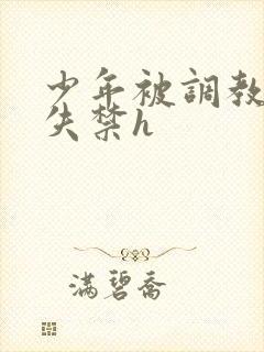 少年被调教爽到失禁h