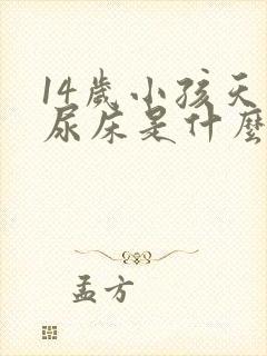 14岁小孩天天尿床是什么病