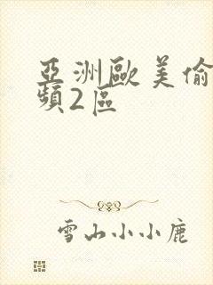 亚洲欧美偷拍视频2区