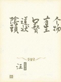 阴道口有个小乳头状赘生物