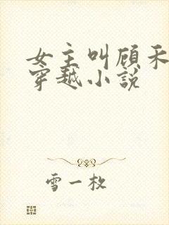 女主叫顾禾儿的穿越小说