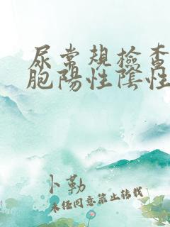 尿常规检查白细胞阳性阴性怎么回事