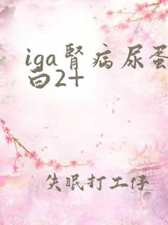 iga肾病尿蛋白2+
