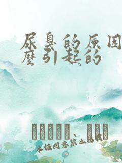 尿臭的原因是什么引起的