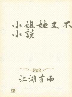 小姐她又不见了小说