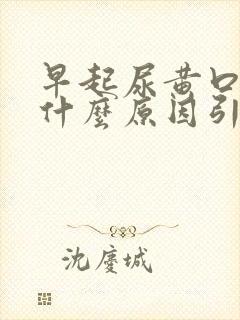 早起尿黄口干是什么原因引起的