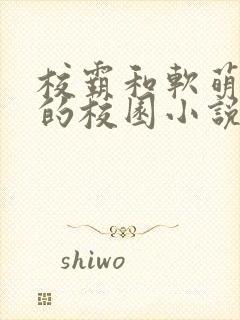 校霸和软萌女主的校园小说