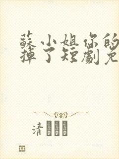 苏小姐你的老公掉了短剧免费观看