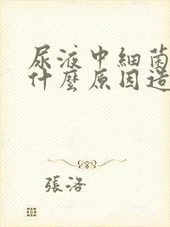 尿液中细菌高是什么原因造成的