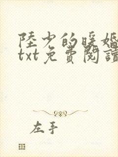 陆少的暖婚新妻txt免费阅读