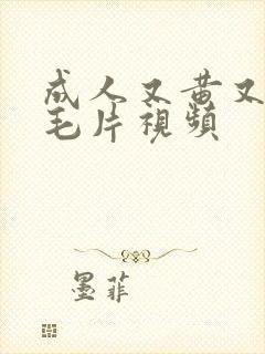 成人又黄又爽的毛片视频