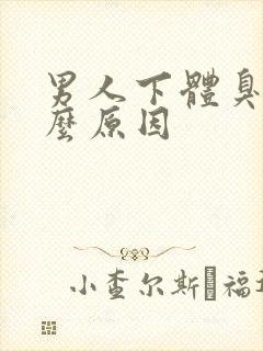 男人下体臭是什么原因