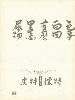 尿里有白色沉淀物怎么回事