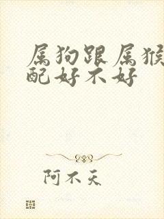 属狗跟属猴的婚配好不好