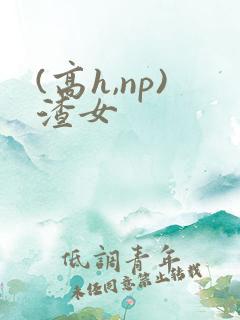 (高h,np)渣女