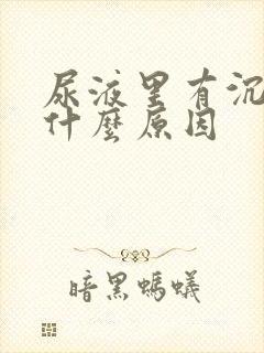 尿液里有沉淀物什么原因